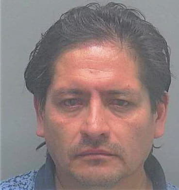 Ramos Luis - Lee County, FL 