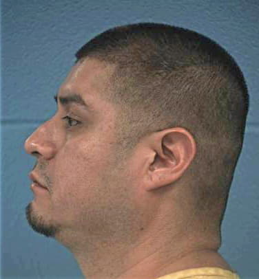 Hernandez Anthony - Williamson County, TX 
