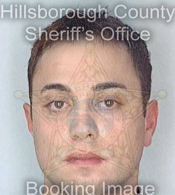 Wetherington Anthony - Hillsborough County, FL 