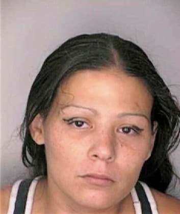 Meraz Diana - Hillsborough County, FL 