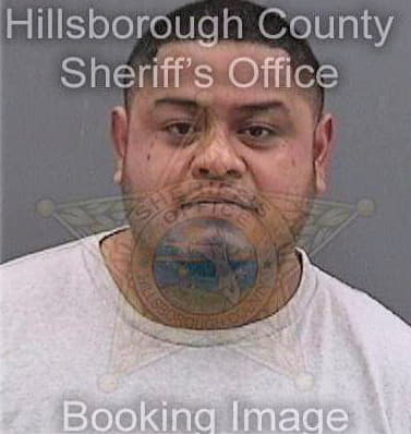 Hernandez Ernesto - Hillsborough County, FL 
