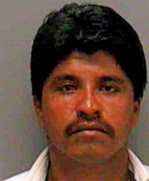 Hernandez Manuel - Lee County, FL 