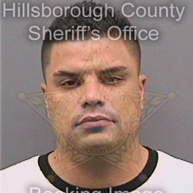 Mejiarosado Miguel - Hillsborough County, FL 