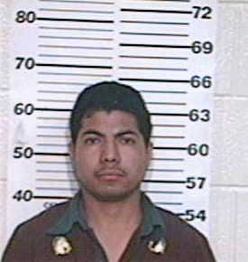 Hernandez Moises - Hidalgo County, TX 