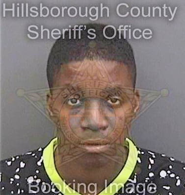 Gales Odette - Hillsborough County, FL 