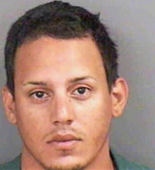 Gustke Reid - Collier County, FL 
