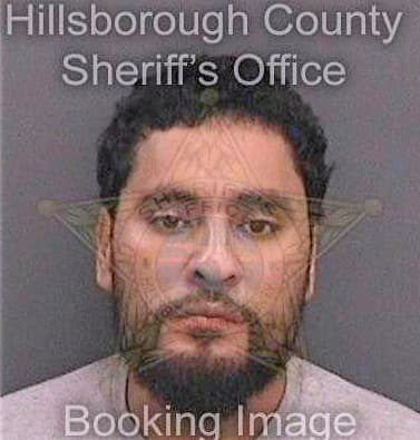Hernandez Roman - Hillsborough County, FL 