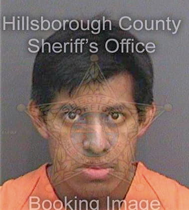 Floresmelton Samuel - Hillsborough County, FL 