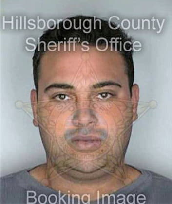 Mirabal Yosvani - Hillsborough County, FL 