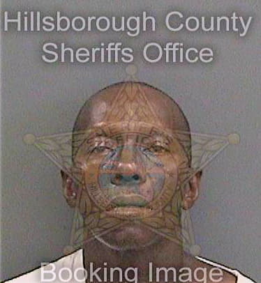 Brown Bland - Hillsborough County, FL 