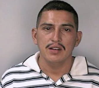 Landaverde Carlos - Hillsborough County, FL 