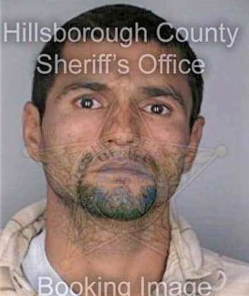 Calderon Elmer - Hillsborough County, FL 