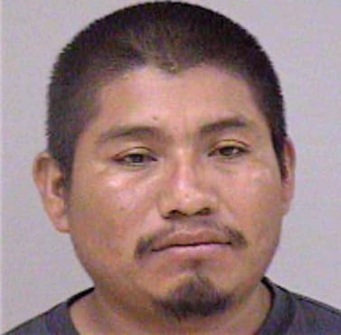 Merino Esteban - Madera County, CA 