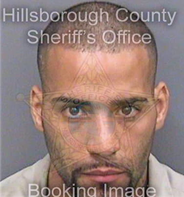 Velazquez Geovanny - Hillsborough County, FL 