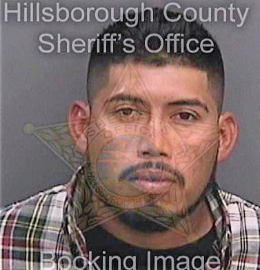 Garcia Paulino - Hillsborough County, FL 
