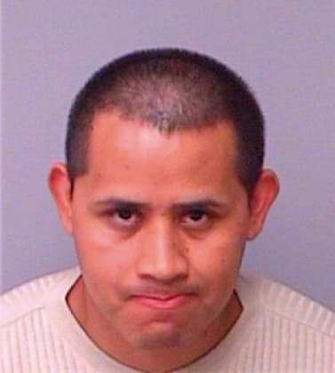 Flores Alphonso - Pinellas County, FL 