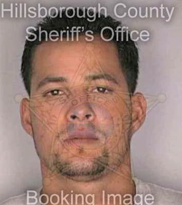Santiago Hector - Hillsborough County, FL 