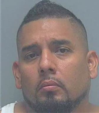 Ruiz Sheldon - Lee County, FL 