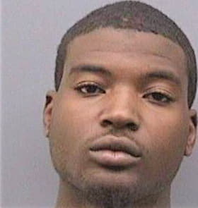Bowie Damian - Hillsborough County, FL 