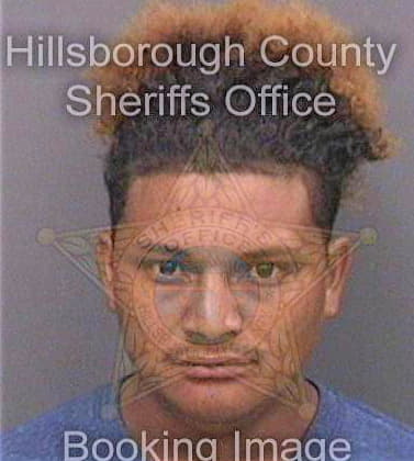 Meraz Ever - Hillsborough County, FL 