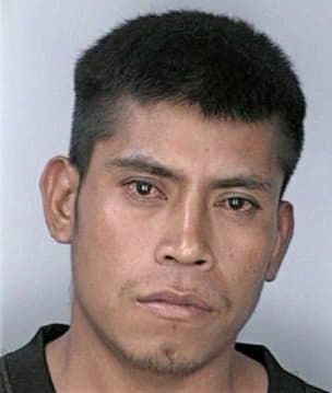 Vega Filiberto - Hillsborough County, FL 