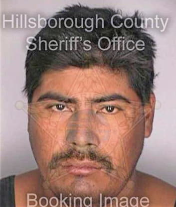 Contredas Jose - Hillsborough County, FL 
