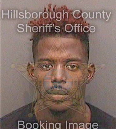 Copeland Lloyd - Hillsborough County, FL 