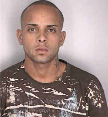 Reyes Pedro - Hillsborough County, FL 