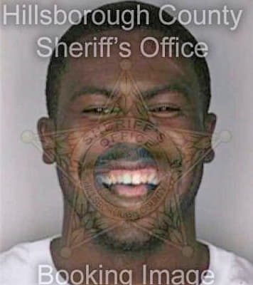 Anderson Quincey - Hillsborough County, FL 
