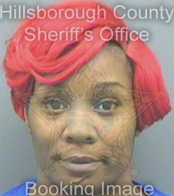 Wright Elrica - Hillsborough County, FL 