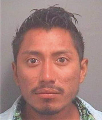 Carballo Francisco - PalmBeach County, FL 