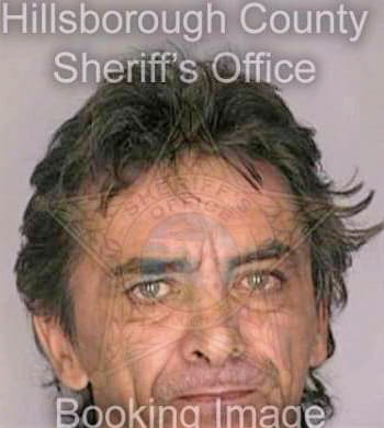 Kovacs Kalman - Hillsborough County, FL 