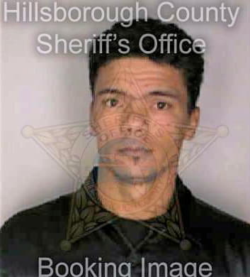 Toranzo Miguel - Hillsborough County, FL 