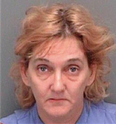 Wendt Tracy - Pinellas County, FL 