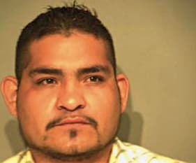 Negrete Victor - Hidalgo County, TX 