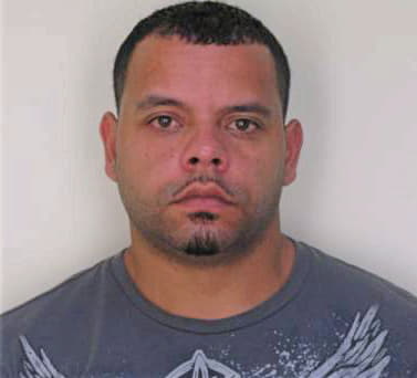 Feliciano Angel - Hillsborough County, FL 