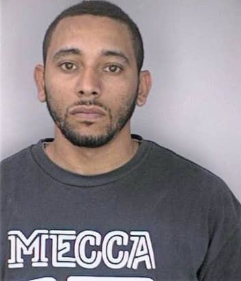 Pinto Santos - Hillsborough County, FL 