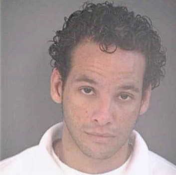 Hernandez Elier - Hillsborough County, FL 