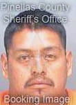 Marcosflores Jose - Pinellas County, FL 