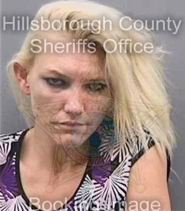 Collins Kristina - Hillsborough County, FL 