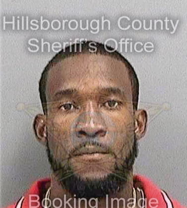 Steadman Larry - Hillsborough County, FL 