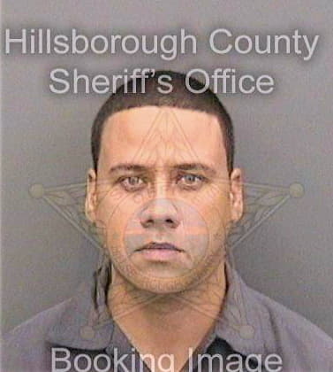 Pena Reinaldo - Hillsborough County, FL 