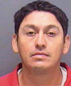 Benavides Hector - Lee County, FL 