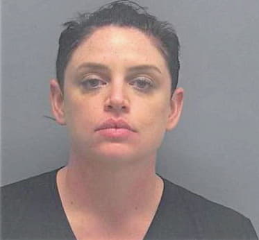 Bowman Brittany - Lee County, FL 