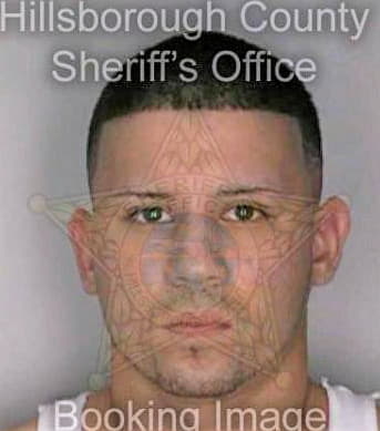 Velez Ismael - Hillsborough County, FL 