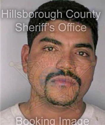 Escobar Julio - Hillsborough County, FL 