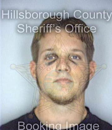 Dickinson Michael - Hillsborough County, FL 