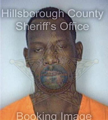 Williams Michael - Hillsborough County, FL 