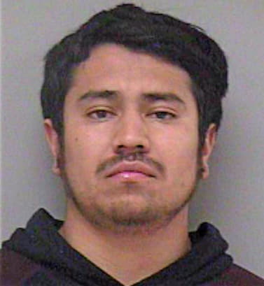 Montesinos Saulo - Madera County, CA 