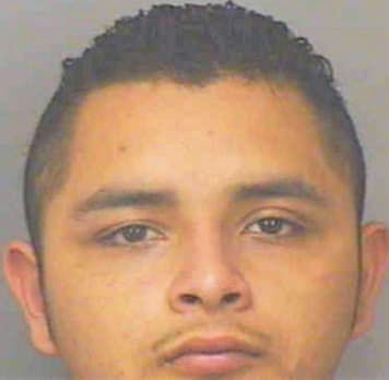 Mendoza Andres - Polk County, FL 